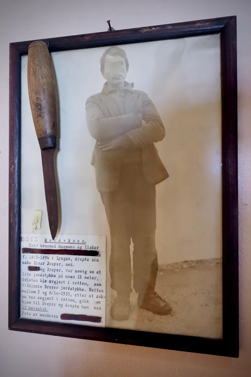 Unraveling the Boston Strangler: One Killer or Many?