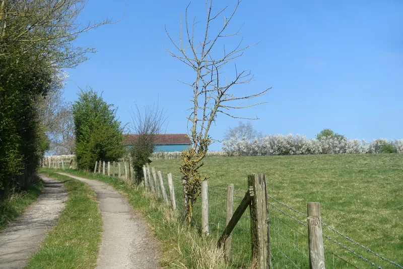 Great Train Robbery: Leatherslade Farm Fingerprints Led to Arrests