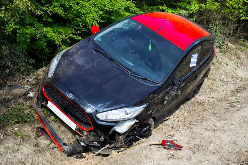 Soham Murders: How Pollen Helped Trace Huntley's Car