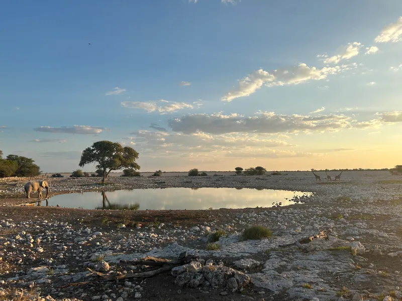 Aboriginal Australian Songlines Map Water and Travel