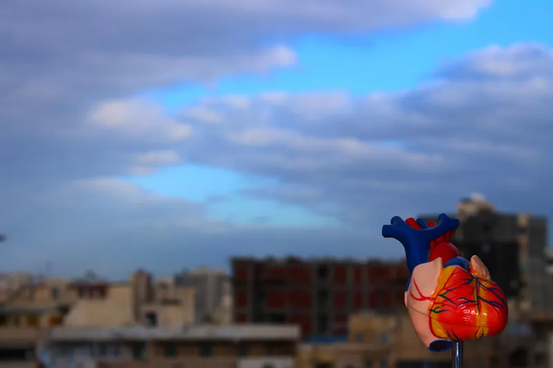 Understanding Takotsubo Cardiomyopathy: The Broken Heart Syndrome