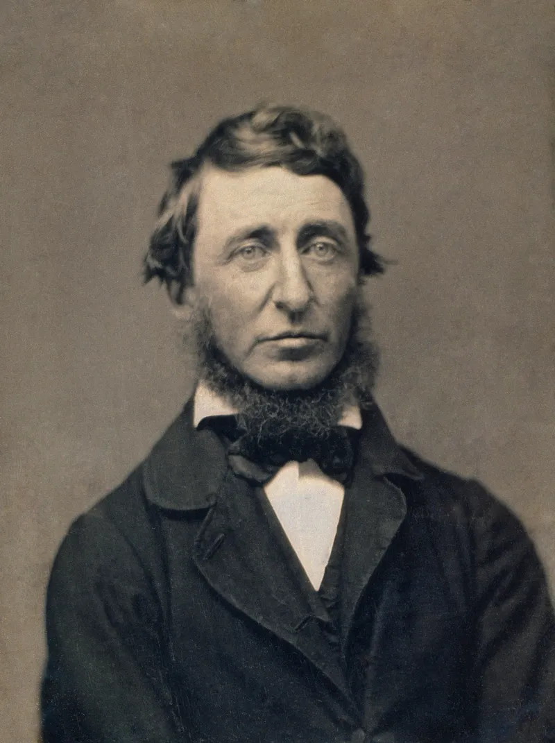 Henry David Thoreau's Wildness Quote and Its Lasting Power