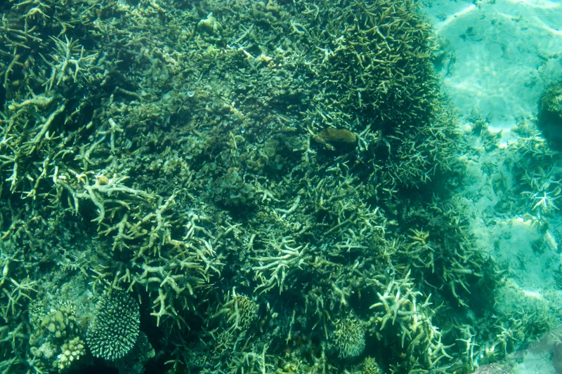 Discovering Ancient Atlantis: Nature's Role in a Timeless Myth