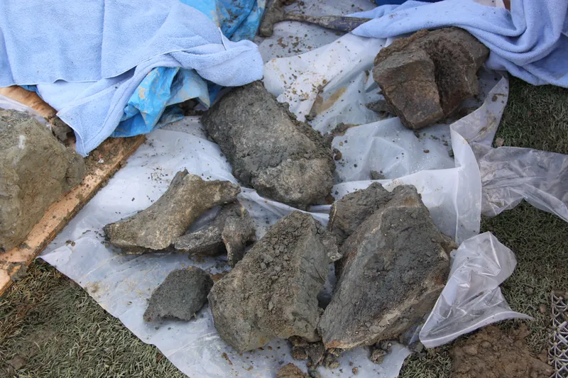 Klondike Gold Rush Mining Exposed Mammoth Bones