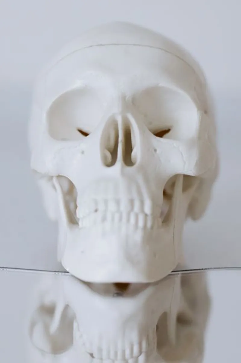 Joseph Haydn's Stolen Head and the Phrenology Scandal