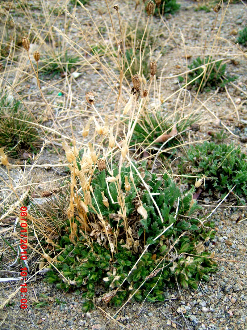 Image via Wikimedia Commons