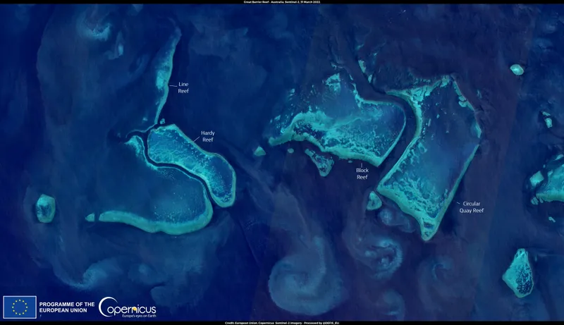 Great Barrier Reef Bleaching Can Shift Coral Recovery
