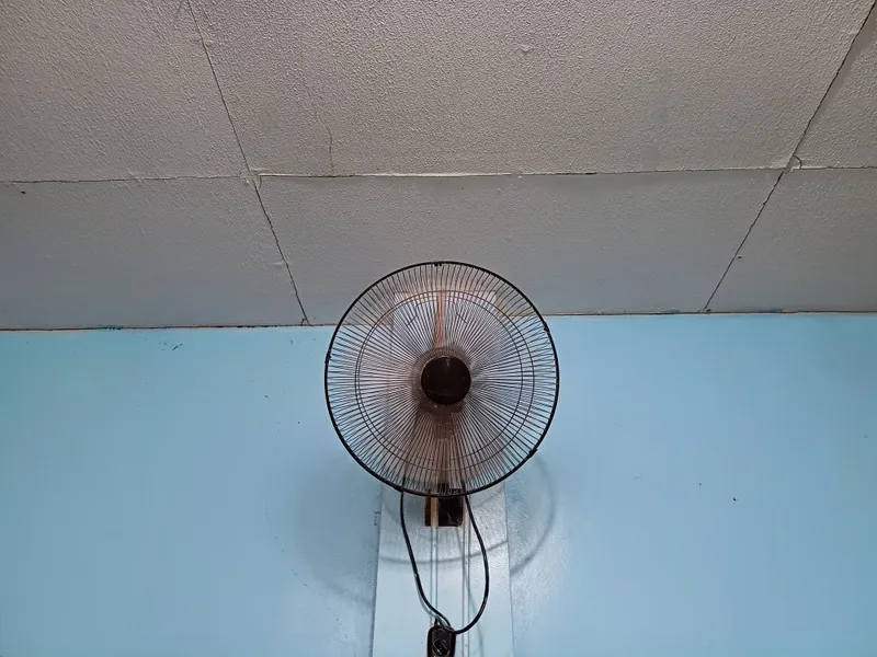 Image by Curpharar — CC BY-SA 4.0