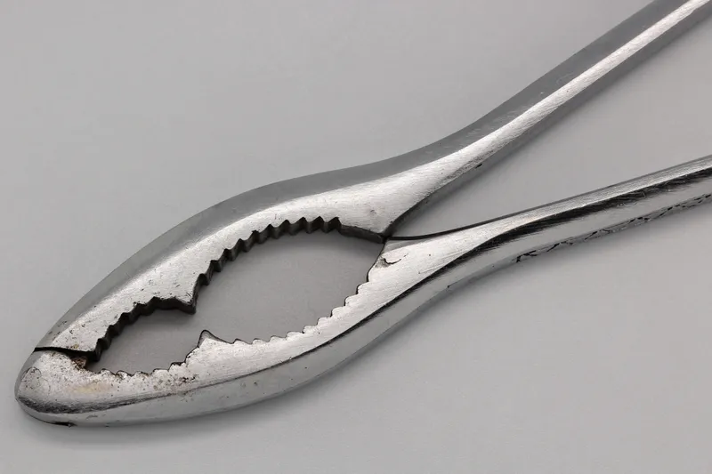 Image by Coyau — CC BY-SA 3.0