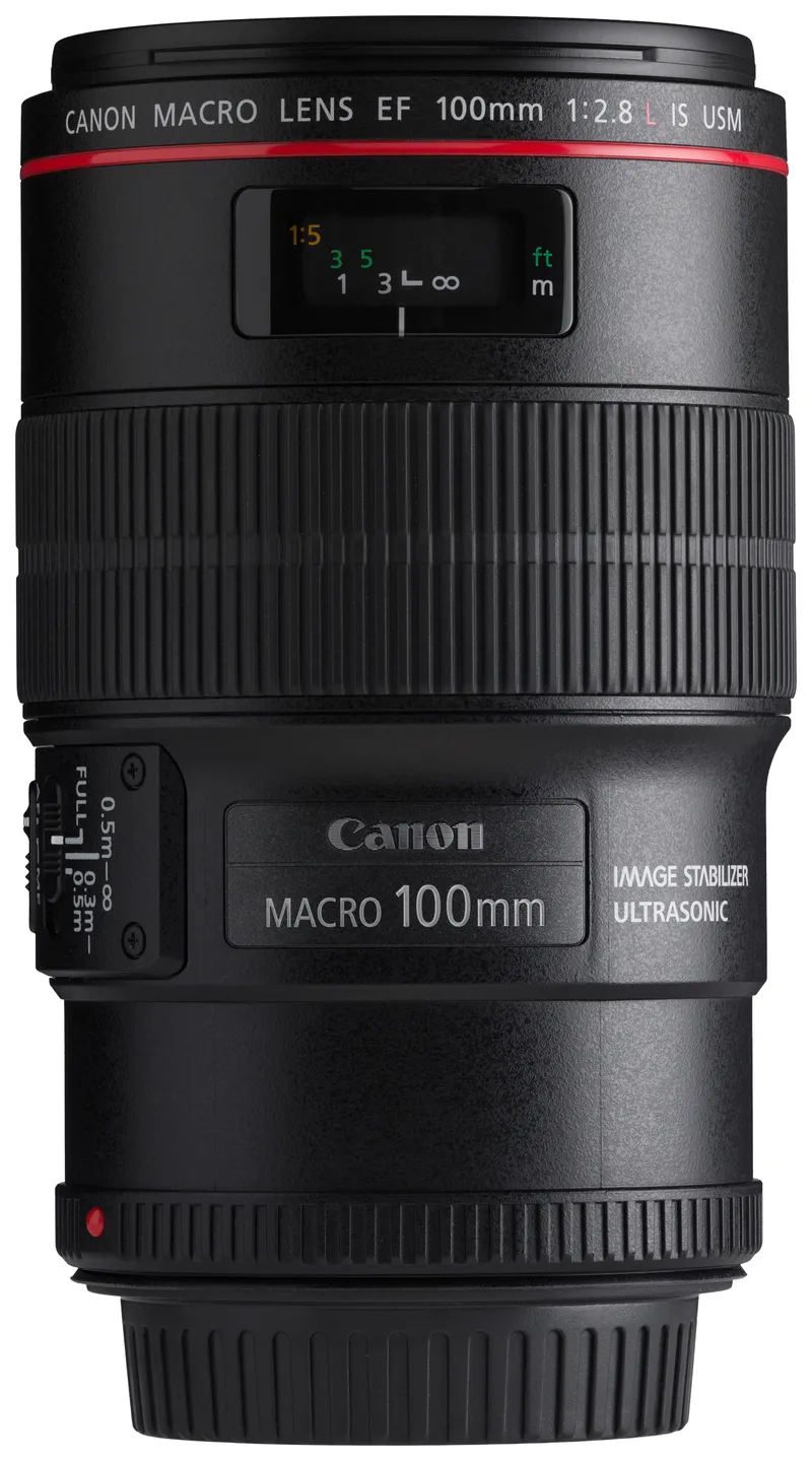 How Your Canon EOS Lens Affects Low-Light Autofocus