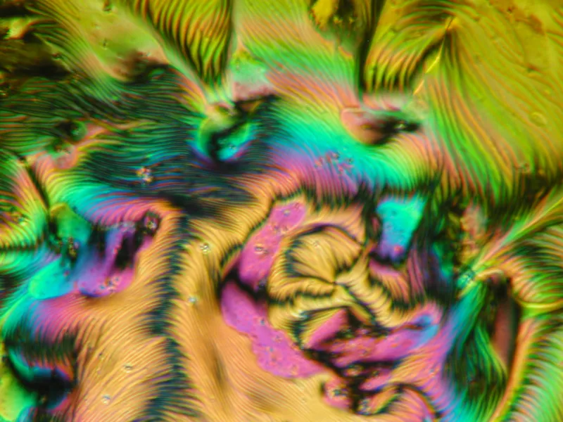 Image by Alexprague — CC BY-SA 4.0