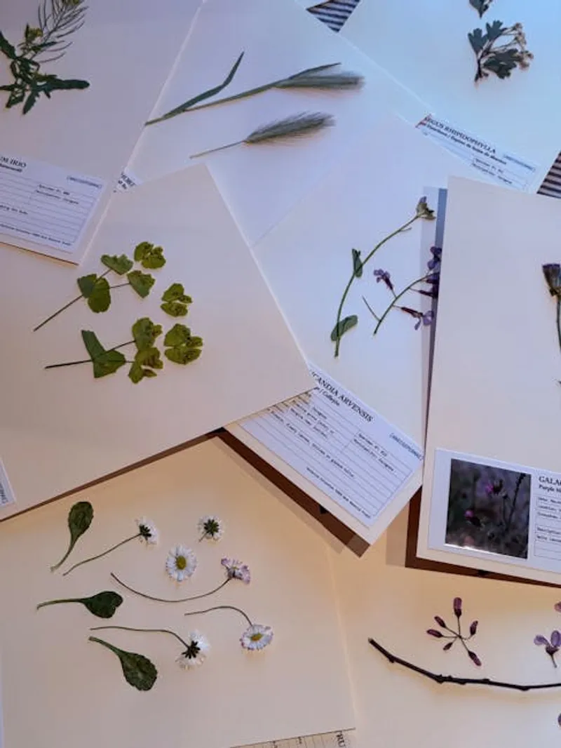 Seaweed Herbarium DNA Reveals Historic Coastal Climate Shifts