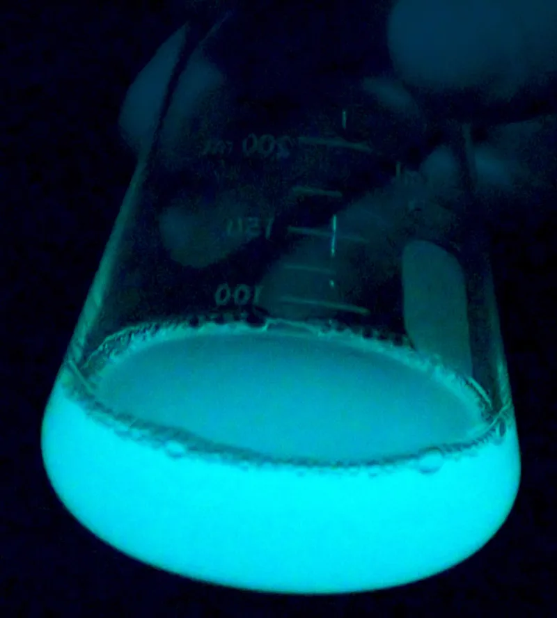 Image by Bathyctena — CC BY-SA 4.0