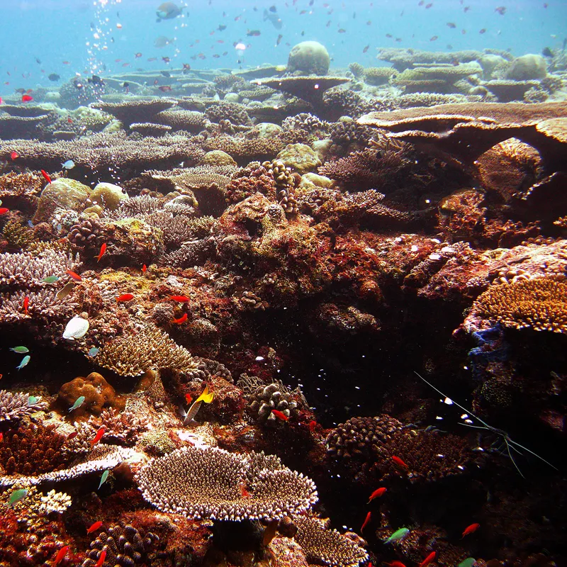 Image by Dr. Ondřej Havelka (cestovatel) — CC BY-SA 4.0