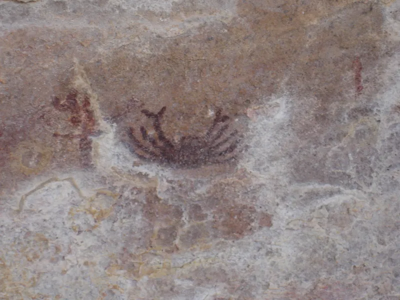 Serra da Capivara Rock Art and Early South America